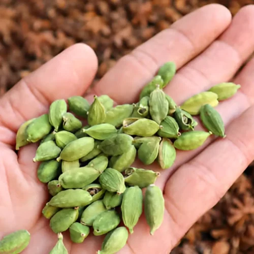 fresh-cardamom-pods-handful fresh-cardamom-pods-handful